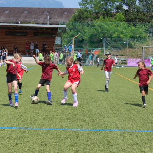 39EE25F9-334E-461E-8CA3-D3B04564B806