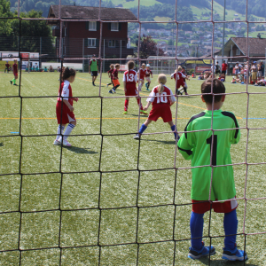 E0D5D80B-CF6E-4E36-883E-223F50E54265